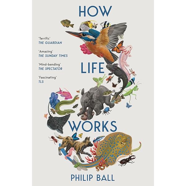 An Introduction to Molecular Evolution and Phylogenetics : Bromham