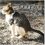 Amazon Brand - Eono 2022 Pooping Cats Wall Calendar, 2022 Calendar from January to December, Funny Cats Calendar, Perfect 202