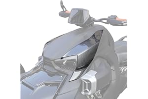 SAUTVS Plastic Carbon Fiber Pattern Fairing Panels for Can Am Ryker, Carbon Fiber Pattern Fairing Panels for Can-Am Ryker Models Accessories (2PCS, Replace #219400803)