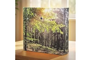 MIJOMA Soundbox z śpiewem ptaków i leśną scenerią – kojący relaks w Twoim domu | głośnik, czujnik ruchu i przełącznik wł./wył. | idealny do łazienki, korytarza, biura i salonu | 12 x 12 cm (las)