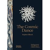 The Cosmic Dance: Finding patterns and paths in a chaotic universe
