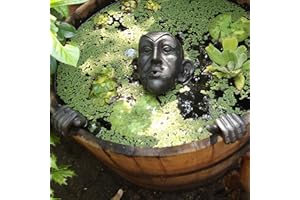 Storm's Gartenzaubereien Wasserspeier Gargoyle für Miniteich mit Pumpe 230 Volt braun - Gold als Wasserspiel für die Gartendeko