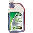 Blagdon Green Away Pond Water Treatment, Clears Green Water and Suspended Algae Particles, Natural, Plant Friendly, Safe for Fish, 1 Litre, Treats 20,000 Litres of Water