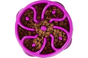 Outward Hound Slow Feeder Dog Bowl - Makes Meal Time Fun, Slows Down Eating, Promotes Healthy Digestion, Prevents Bloat | Slip Resistant and Durable, Food and Water Bowl, Size Medium (Purple)