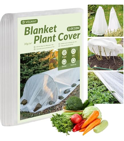 Telo Protettivo Per Giardino 2x10m - Set Con Tessuto Non Tessuto Antigelo E Fogli In Polietilene Trasparente Per Piante, Serre E Agricoltura