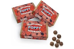 SEEDBALL Wildflower Poppy Seed Ball Boxes (Pack of 3) - 6 Seeds Per Box | Beautiful Red Poppy Flowers | Clay Protected Seed Bomb for Bees, Butterflies, Birds & Other Garden Wildlife