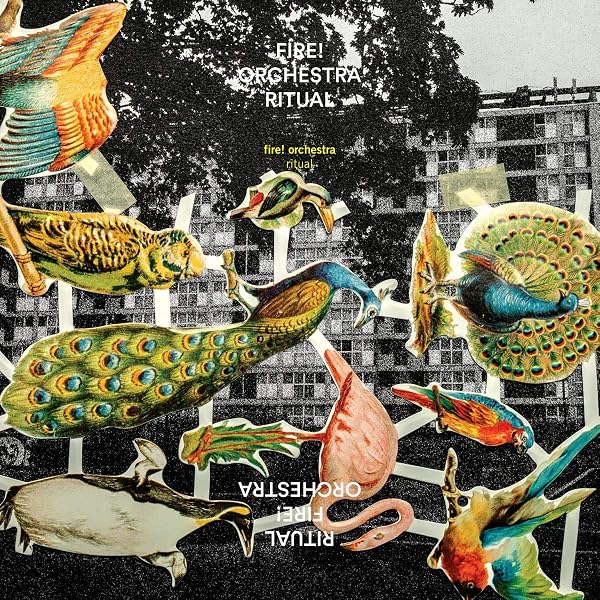 Enter: Fire! Orchestra, Fire! Orchestra: Amazon.fr: CD et Vinyles}