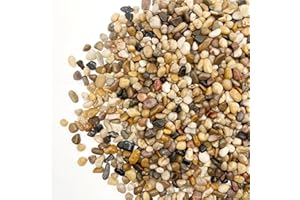 SUPTIDY 1 Pound Pebbles, 3/8 Inch Pea Gravel River Rocks, for Indoor Plants, High Polished Decorative Stones Vase Fish Aquariums Landscaping Outdoor, Mixed Color