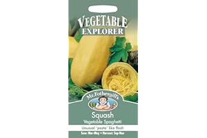 MR FOTHERGILLS Mr Fothergill?s Seeds Ltd 20992 Seeds, Squash Vegetable Spaghetti, Yellow