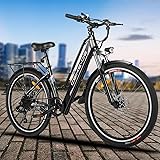 elife cruiser electric bike