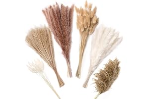 ZJTAPE Erba di Pampa Essiccata - 130 Pezzi Decorazione Naturale di Fiori Essiccati, Fiori Essiccati, Bunny Tails Fiori Essiccati per Tavola da Matrimonio Vasi Soggiorno Boho Home Decor