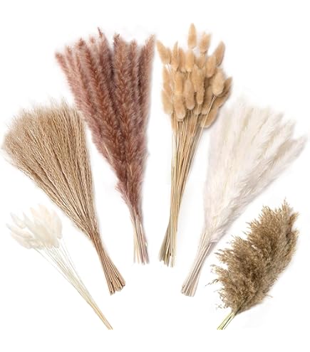 120PCS Fleurs SéChéEs Queues De Lapin Herbe De Queue De Lapin