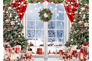 AIIKES 7x5ft Christmas Backdrop Christmas Window Photography Backdrop XY72