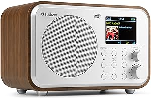 Audizio Milan - Radio Digital Dab+/FM portátil con Bluetooth, batería Recargable, Pantalla a Color, Salida de Auriculares y diseño Compacto en Color Plateado, Ideal para Viajes, Cocina o Dormitorio