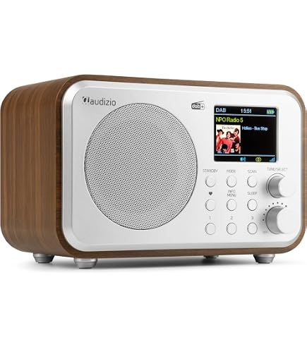 Audizio Genua Radio DAB+ Bluetooth 5.0 Noyer - Écran Couleur 2.8" Double HP, Télécommande, USB