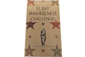 EMBRACING MINDFULNESS 31 tarjetas de desafío de atención plena – Take One a Day for a Month of Mindfulness – Gran relleno de calcetines o regalo secreto de Papá Noel