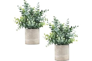 LEUCHTAMOR 2 Pack Small Fake Plants Eucalyptus Potted Artificial Plants for Shelf Desk Home Bathroom Farmhouse Room Coffee Table Indoor Decor (Sage Green)