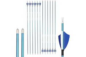 limaity 12 Stück Bogenschießen Carbonpfeile 400/500/600/700/800/900/1000 Spine mit True Feather Shooting Bogenschießen Praxis Jagdpfeil für Recurve-Bogen Compound-Bogen