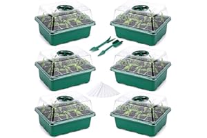 Fox·Bunny Anzuchtkasten, 6 Stück 72 Zellen Zimmergewächshaus Anzuchtkasten, Pflanzen Anzucht Set mit Deckel und Belüftung für Sämling Pflanze, Grün