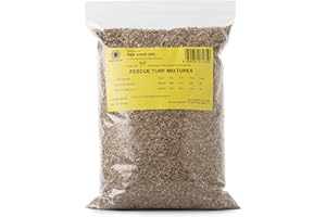 R&R SHOP - Nasiona trawnika, Festuca Arundinacea, odporne i trwałe (500gr - 20mq)