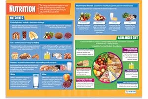 Daydream Education Poster éducatif Nutrition - Papier brillant - 850 mm x 594 mm (A1)