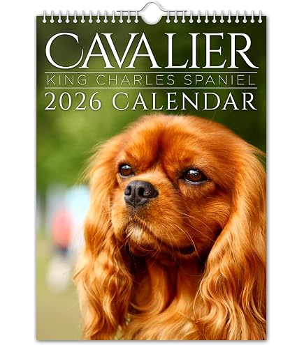Sottobicchiere Lucido Con Cane Cavalier King Charles E Scritta 'Keep Calm And Hug A Cavalier' - 9x9cm In MDF