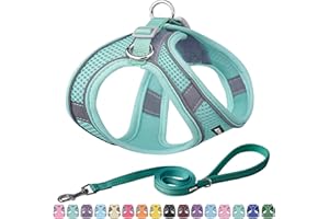 AIITLE Piccola pettorina per cuccioli con guinzaglio - Pettorina per cani con rete super traspirante per passeggiate all'aperto per cani di piccola taglia, gatti Turchese puro XXS