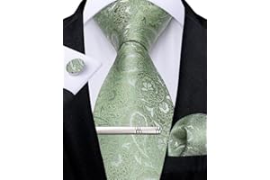 DiBanGu Herren Paisley Krawatte formelle Seiden-Krawatte & Einstecktuch Manschettenknöpfe Krawattenklammer für Hochzeitsfeier Abschlussball