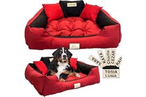 EDANTI Legowisko Dla Psa, Poduszka Dla Kota, Spersonalizowana Sofa Dla Psa Z Imieniem L – 100 x 75 cm, dla dużych średnich i małych psów (75 x 65 cm, czerwone)
