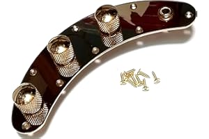 JANIKA loaded 3 pot electric bass control panel loaded musicman style gold