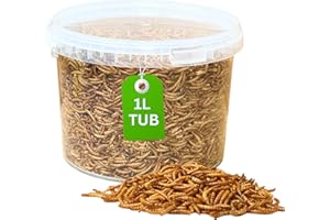 DIRECT DEALS 123 Premium Mealworms Wild Bird Food, Protein Food for All Species, Natural High Energy Feed, No Mess Bird Food for All Birds (1L Tub, Mealworms)