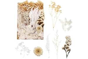 BOLOSA Natural Dried Flowers, Pressed Flowers Real Dried Pressed Flowers and Leaves Dried Flowers Set for Scrapbooking DIY Candle Resin Jewelry Crafts Card Making (White)