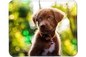 Silent Monsters Tappetino Mouse 24 x 20 cm piccolo, cucciolo di cane, con Bordo Cucito, Durevoli, antiscivolo e silenzioso, gioco, ufficio, casa, lavabile arrotolabile Tappetini per il Gaming Mousepad