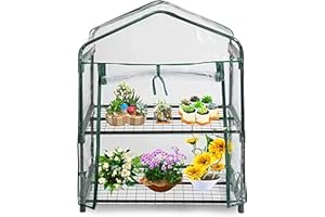 ESTO Serra da Balcone da Giardino, Corpo in Policarbonato e Telo in PVC Trasparente, Adatto per Colture Invernali, Copertura per Piante e Fiori (2 Ripiani)