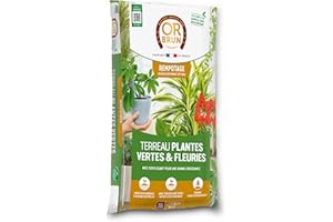 OR BRUN Terreau Plantes Vertes & Fleuries 20 litres : Un Support idéal pour Vos végétaux