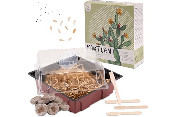 Cactus Starter Kit Growing Set - Set de plantation de mini-serre, graines de cactus & terreau - idée de cadeau durable pour les amoureux des plantes (Semences: Pachypodium Lamerica + Faucaria Tigrina)