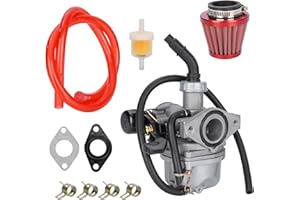 JIAYAN PZ19 Vergaser 19mm Carb mit 35 -mm -Luftfilter für 50cc 70cc 90cc 110cc 125cc DR50 CRF XR 50 Coolster Taotao Buyang Coolsport Redcat Peace Baja ATV Quad Go Cart Dirt Bike Teile