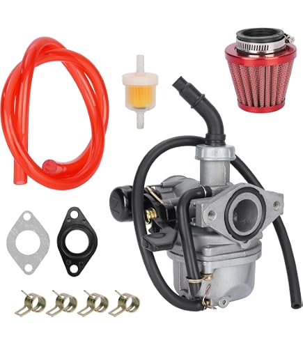 Vergaser 19mm PZ19 Für Quad, ATV, Pit Bike, Gokart 50-110ccm 4-Takt (China)