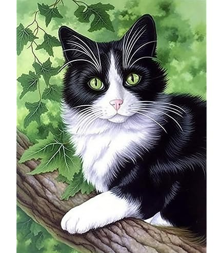 Diamond Painting Kit 5D Gatto,Adulti e Bambini fai da te con i numeri Pittura Diamante, Ricamo a Punto Croce Strass Cristallo Immagini Artistiche, per la Decorazione Della di Casa Square Drill 70x90cm