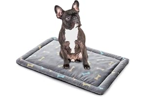 ALLISANDRO Hundematte Hundedecke Waschbar Matte 100x70cm Hygienisch und rutschfest Eckig Bones Weiche Hundebette mit kuscheligem Plüsch für Hunde & Katzen Grau