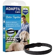 ADAPTIL Calm Beruhigendes Halsband fr Hunde, Gre M/L, mittelgroe und  groe Hunde, beruhigende Pheromone, Stressabbau fr hyperaktive, ngstliche  Hunde, Entspannung fr Hunde, Reisen und stressige : Amazon.de: Haustier