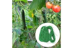 HAPHOME Pflanzennetz Ranknetz Gurkennetz Gartennetz für Kletterpflanzen - 2mx2m Rankhilfen Grün Gemüsenetz für Kletterpflanzen Feinmaschig mit 50m Seil für Tomaten Gurken Pflanzenschutznetz