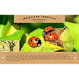 Vgo... 20 Marienkäfer Larven gegen Blattläuse