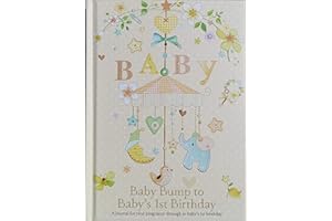 THE PAPER PALACE TANGDIAABBCC Baby Bump to 1st Birthday Journal