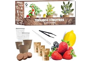 NOPALIA Kit Mini Frutta Pronto a Crescere - Fragola, Mirtillo & Mini Limone - Semi Bio - Regalo Insolito DIY - Giardino Interni ed Esterni - Decorazione Ecologica - Made in France