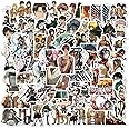 Laptop Sticker Pack 100 Pcs, Attack on Titan Sticker Unique Cool Stickers Waterbottle Notebook Guitar Skateboard Travel Teens Stickers