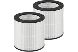 DAODEFUL FY0611 - Filtro di ricambio per purificatore d'aria Philips serie 600 AC0650/10 AC0651/10 H13 True HEPA FY0611/30, ricambio filtro dell'aria (2 pezzi)