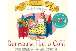 Dormouse Has a Cold: A Lift-the-flap Story (Tales From Acorn Wood, 9)