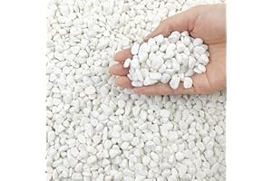 FANTIAN 2lbs Natural White Gravel Pebbles for Garden, 6-9 mm White Stones for Garden Fish Tank Gravel Aquarium Succulent Cactus Vase Landscaping and Outdoor Decorative Stones