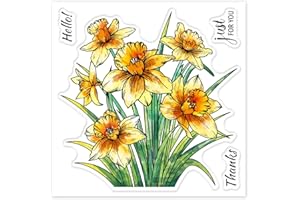 GLOBLELAND Daffodils Plants Clear Stamps Flower Embossing Stamp Sheets Silicone Text Clear Stamps Seal for DIY Scrapbooking and Card Making Paper Craft Decor (Colorful)